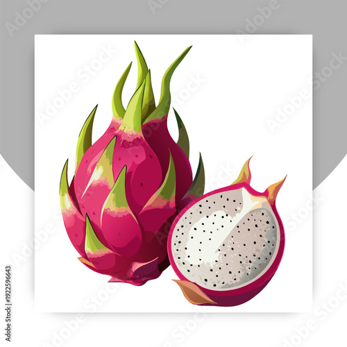 Vector collection of dragon fruit, or pitahaya, or pitahaya. Tropical exotic fruit pitaya on a white background, whole, half, pieces and balls. Isolated on white background.
