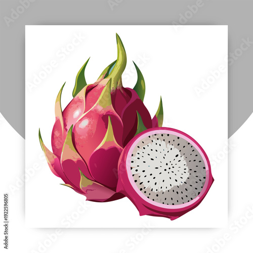 Vector collection of dragon fruit, or pitahaya, or pitahaya. Tropical exotic fruit pitaya on a white background, whole, half, pieces and balls. Isolated on white background.