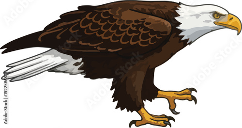 Majestic bald eagle in mid stride with sharp gaze