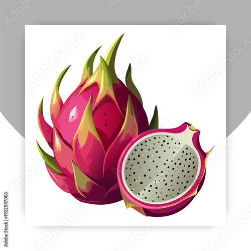 Vector collection of dragon fruit, or pitahaya, or pitahaya. Tropical exotic fruit pitaya on a white background, whole, half, pieces and balls. Isolated on white background.