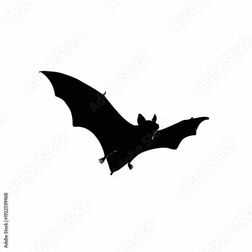 A black vector silhouette of a bat in flight at night
