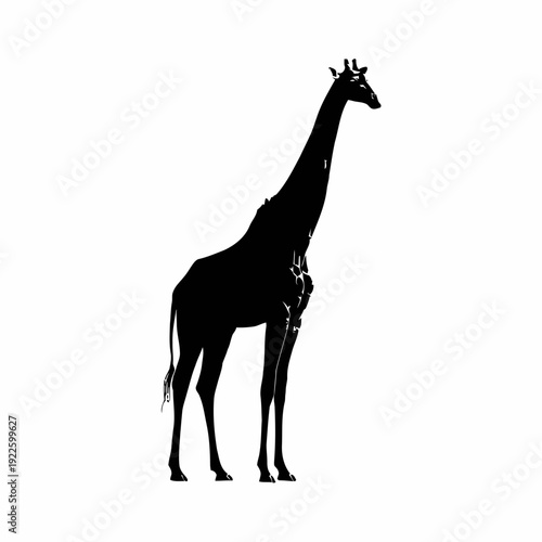 A black vector silhouette of a giraffe standing in savannah environment