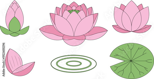Pink Lotus Flower Vector Set with Blooming Water Lily Buds and Green Lily Pad Isolated on White Background for Zen Design