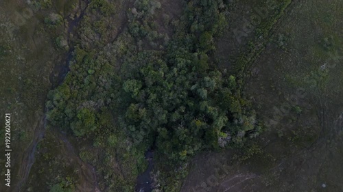 Vista aérea de mata atlântica com curso de água