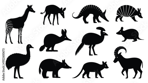 Black silhouettes of various animals and birds wildlife