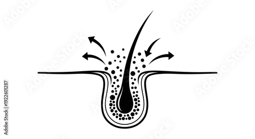 A detailed graphic illustrating a hair follicle with particles and arrows indicating a beneficial process.