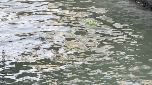 Floating leaf on rippling water under changing light conditions in urban canal