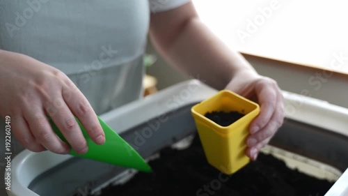 Filling a pot with soil for seedlings, close-up of hands