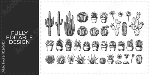 Hand Drawn Potted Plant Cactus Succulent Doodle Vector