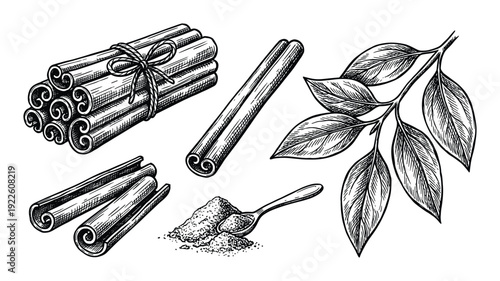 Cinnamon sticks and powder engraving illustration, aromatic spice with leaves