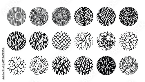 Circle textures pattern set. Organic cell, wood, fingerprint, scales, branch, leopard spots, zebra, virus textures