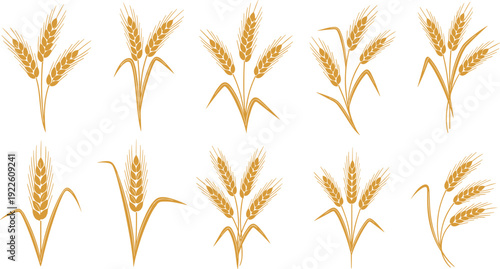 Golden wheat ears vector set. Minimal grain icons collection for agriculture and bakery branding. Flat cereal symbols for logo, packaging and organic food design.