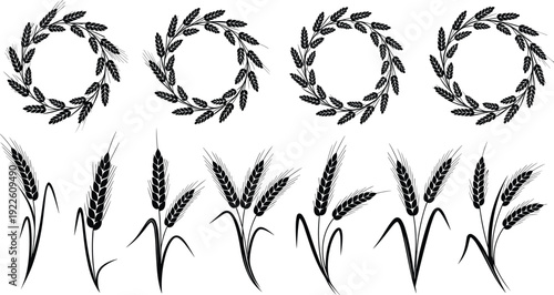 Wheat wreath and barley vector set. Black grain laurel circles and cereal ears. Vintage agriculture logo elements for farm branding and organic packaging design.
