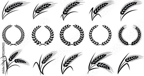 Wheat wreath and ears vector set. Black grain laurel icons collection. Vintage agriculture logo elements for farm branding and organic packaging design.