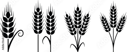 Wheat silhouette vector set. Black cereal crop icons collection. Minimal agriculture grain illustration for farm logo, organic branding and packaging design.