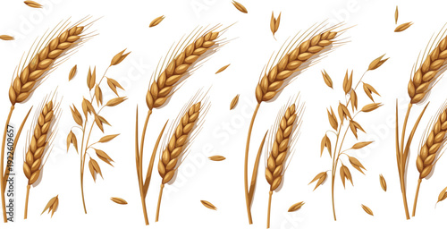 Wheat and oat seamless border vector. Golden cereal crop pattern illustration. Realistic agriculture grain design for organic packaging and farm branding.