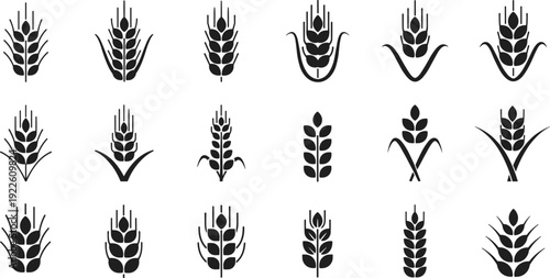 Wheat and grain silhouette icon set. Minimal black cereal crop symbols for agriculture and bakery branding. Flat farm plant vector collection for logo and packaging design.