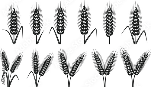 Wheat silhouette vector set in black. Minimal cereal grain icons for agriculture and bakery branding. Monochrome harvest symbols for logo, packaging and farm design.