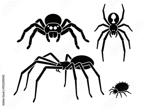 Collection of various spider icons and illustrations from different viewpoints in a clean vector file.