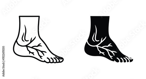 Human foot and ankle medical icons illustrating the vascular system and varicose veins for healthcare diagnosis and blood circulation treatment