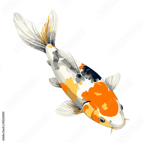 Japanese Koi Fish Vector Illustration for Tattoo and Logo Design