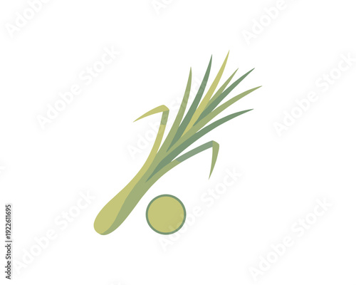 Fresh Lemongrass stalk and slice vector illustration, culinary herb