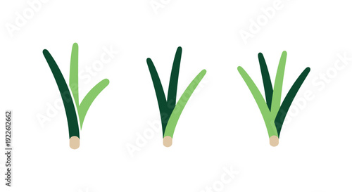 Chives leaf Line art abstract elegant tone illustration