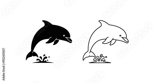 Dolphin illustration, vector art, cartoon dolphin, marine life, ocean creatures, sea animals Vector