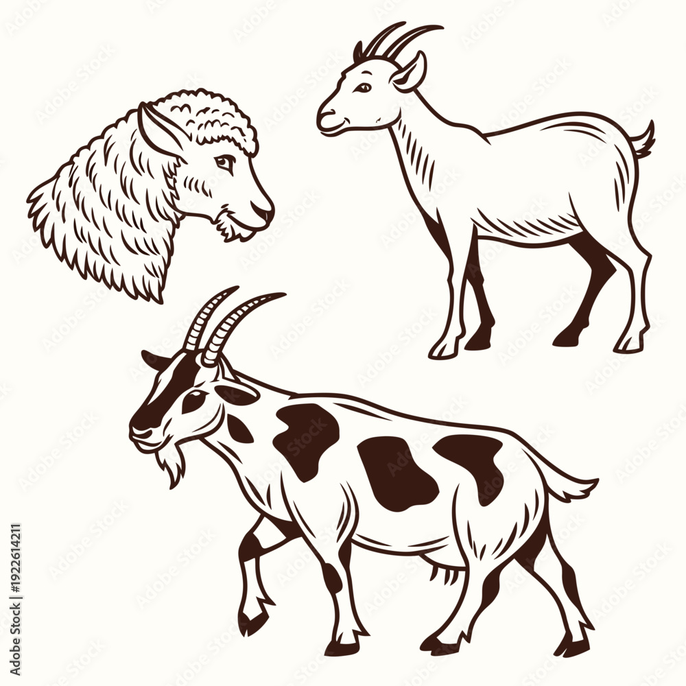 Fototapeta premium Farm Animals: Goat Head, Goat, and Cow with Spots