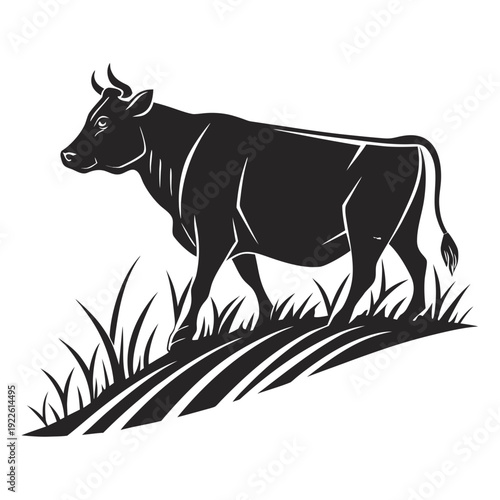 Black Silhouette of a Cow Grazing in Tall Grass Field