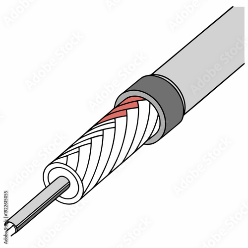 Coaxial Cable Cross-Section with Braided Shielding