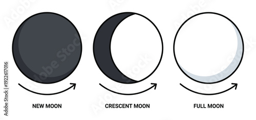 Moon phases diagram. New moon, crescent moon, and full moon cycle illustration