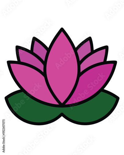 pink lotus flower