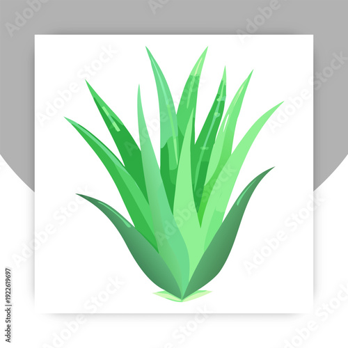 A vibrant, stylized illustration of a succulent plant with spiky green leaves on a white background