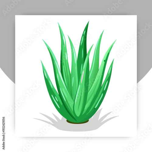 A vibrant, stylized illustration of a succulent plant with spiky green leaves on a white background