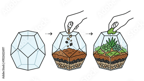 Terrarium construction steps diagram. Hand arranging plants, rocks, and soil in geometric glass container.