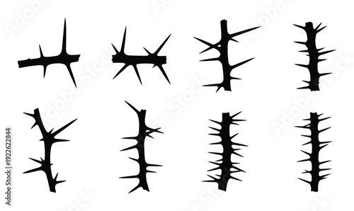 Thorn branches vector silhouettes, thorny plant stems, sharp spikes illustration