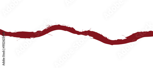 Wavy maroon vein line art illustration on a white background