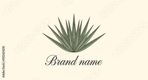 Agave plant logo with brand name text illustration.