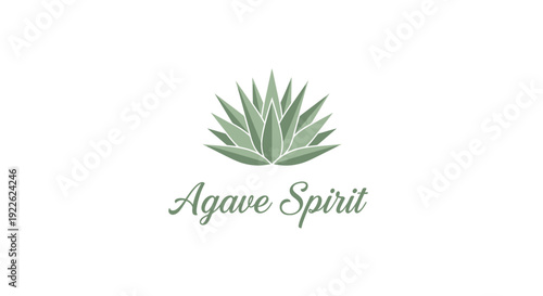 Agave Spirit Logo Design with Green Agave Plant Illustration.