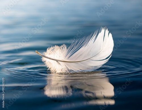 a single white feather drifting above water artwork