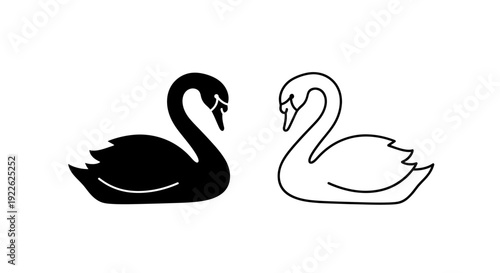Black swan and white swan artwork vector illustration design Vector