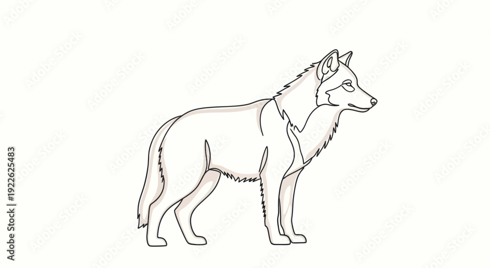 Fototapeta premium Detailed Line Art Illustration of a Majestic Wolf Standing Sideways.