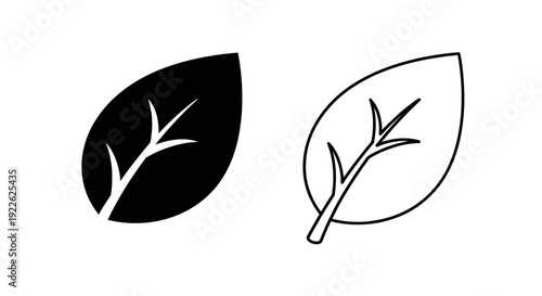 Two leaves one black and one white with a brown stem and veins on a white background Vector