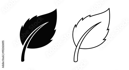 Two stylized leaves, one black and one white, with detailed veins and edges. Vector