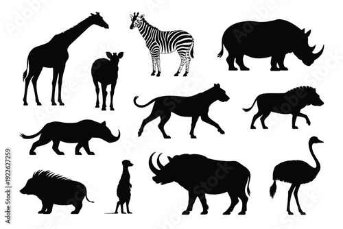 Silhouettes of African Wildlife Animals on White Background