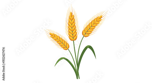 Stylized illustration of three golden ears of wheat with green leaves representing agriculture harvest and whole grain products.