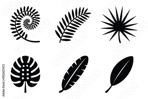 Tropical leaf icons, jungle foliage, minimalist vector set