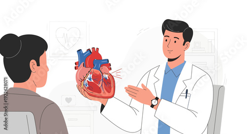 Doctor Explaining Human Heart Anatomy to Patient, Medical Consultation