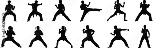 Martial arts silhouette icons with diverse stances, punches, and kicks for combat sports theme - black vector illustration set